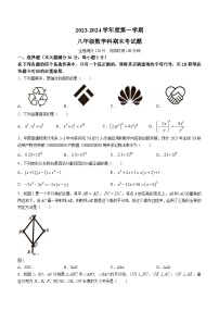 海南省省直辖县级行政单位2023-2024学年八年级上学期1月期末数学试题