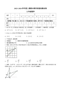 河南省漯河市郾城区2023-2024学年九年级上学期期末数学试题()