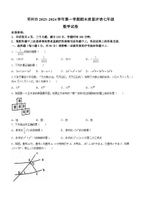 河南省南阳市邓州市2023-2024学年七年级上学期期末数学试题