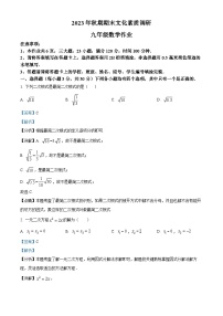 河南省南阳市西峡县2023-2024学年九年级上学期期末数学试题