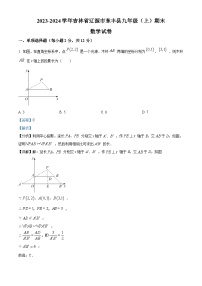 吉林省辽源市东丰县2023-2024学年九年级上学期期末数学试题