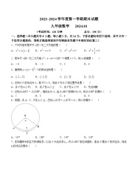 江苏省扬州市仪征市2023-2024学年九年级上学期期末数学试题()