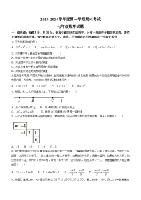 山东省枣庄市滕州市2023-2024学年七年级上学期期末数学试题