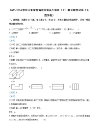 山东省淄博市高青县2023-2024学年九年级上学期期末数学试题