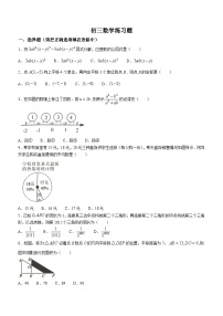 山东省淄博市桓台县2023-2024学年八年级上学期期末数学试题