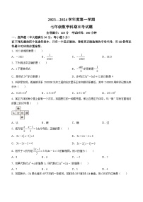 海南省省直辖县级行政单位2023-2024学年七年级上学期期末数学试题