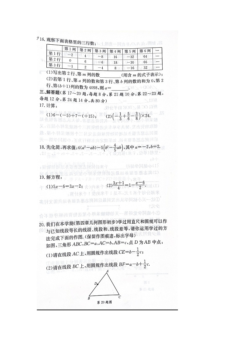 浙江省台州市温岭市2022-2023学年七年级上学期期末数学试题及答案03