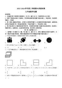 山东省日照市岚山区2023-2024学年九年级上学期期末数学试题(无答案)