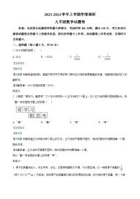 河南省漯河市高新区2023-2024学年九年级上学期期末数学试题