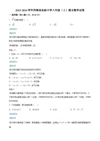 河南省郑州市金水区实验中学2023-2024学年八年级上学期期末数学试题