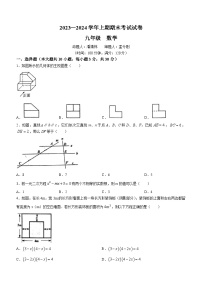 河南省郑州市实验中学2023-2024学年九年级上学期期末数学试题()