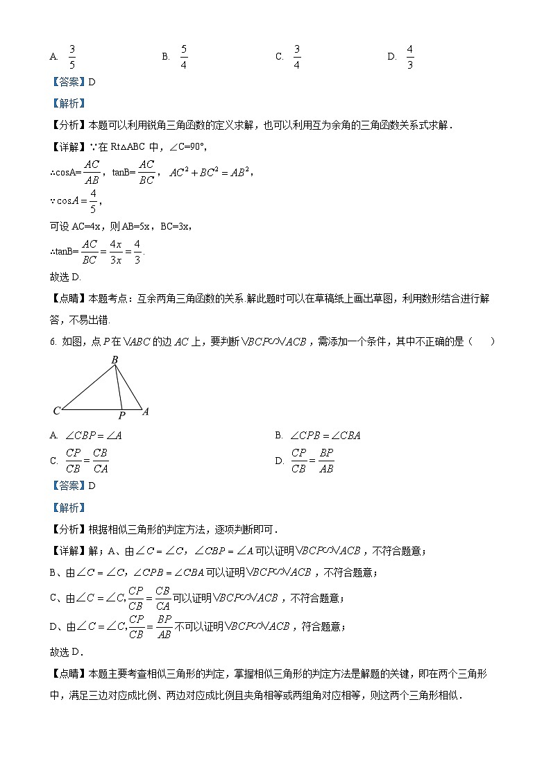 河南省周口市商水县2023-2024学年九年级上学期期末数学试题03