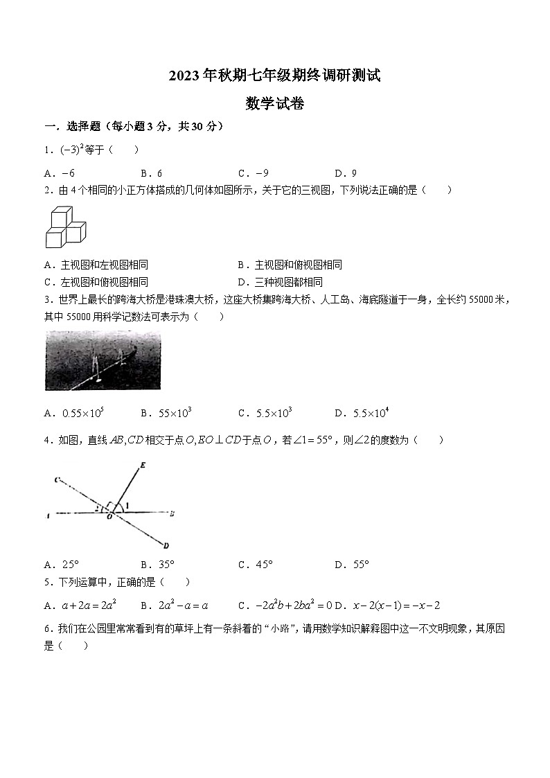 河南省南阳市镇平县2023-2024学年七年级上学期期末数学试题第1页