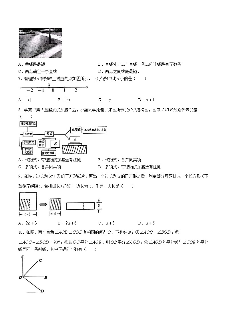 河南省南阳市镇平县2023-2024学年七年级上学期期末数学试题第2页