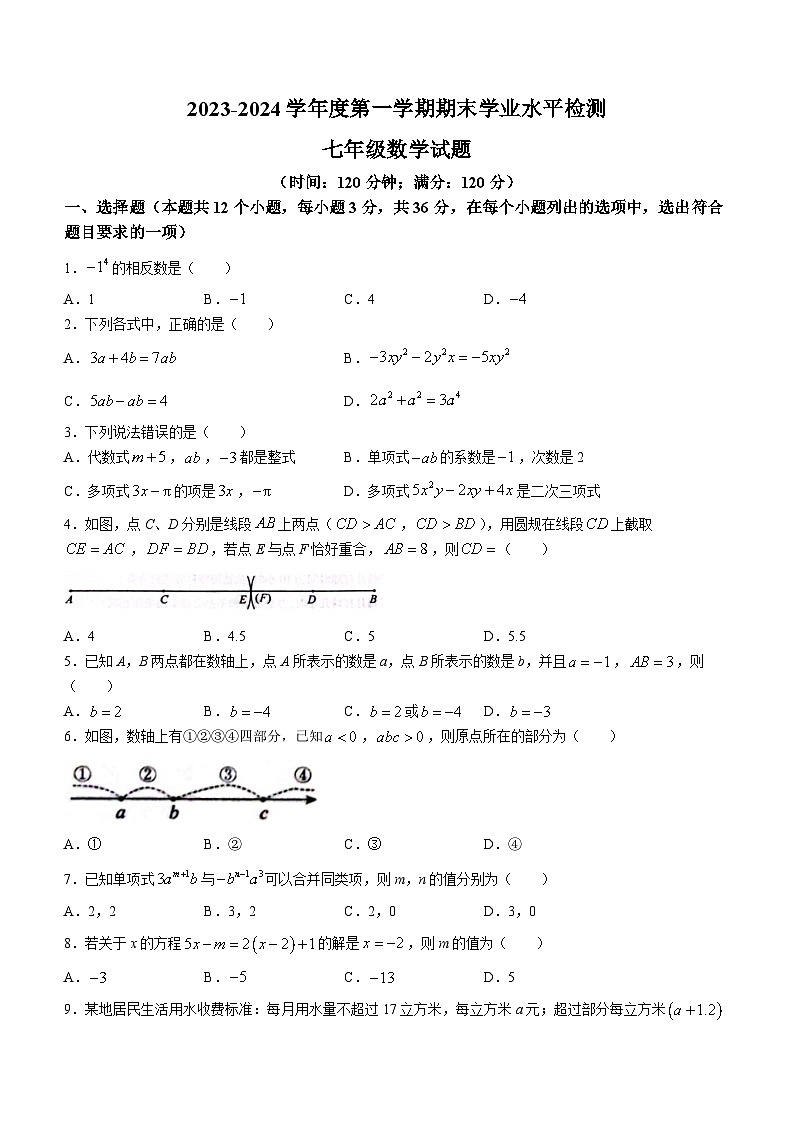 山东省聊城市莘县2023-2024学年七年级上学期期末数学试题(无答案)01