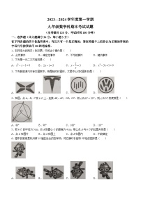 海南省省直辖县级行政单位屯昌县2023-2024学年九年级上学期期末数学试题(无答案)