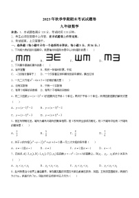 广西河池宜州区2023-2024学年九年级上学期期末考试数学试题