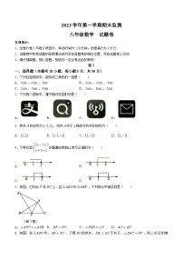 浙江省湖州市长兴县2023-2024学年八年级上学期期末数学试题