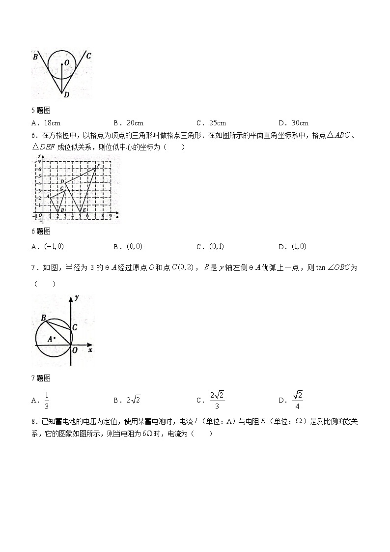 山东省临沂市平邑县2023-2024学年九年级上学期期末数学试题02