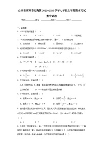 山东省菏泽市定陶区2023-2024学年七年级上学期期末考试数学试题(含答案)