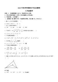 广西壮族自治区河池市宜州区2023-2024学年八年级上学期期末数学试题（含答案）