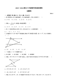 52，安徽省合肥市瑶海区2023-2024学年八年级上学期期末数学试题