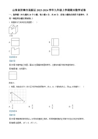 66，山东省济南市高新区2023-2024学年九年级上学期期末数学试题