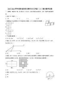 2023-2024学年吉林省吉林市磐石市九年级（上）期末数学试卷（含解析）