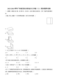 2023-2024学年广东省茂名市信宜市九年级（上）期末数学试卷（含解析）