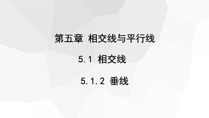 5.1.2 垂线  课件 2023-2024学年初中数学人教版七年级下册01