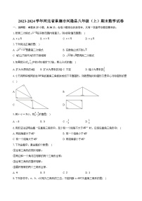 2023-2024学年河北省承德市兴隆县八年级（上）期末数学试卷（含解析）