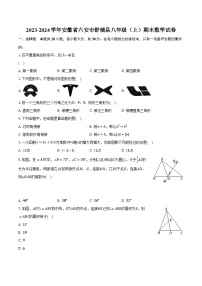 2023-2024学年安徽省六安市舒城县八年级（上）期末数学试卷（含解析）