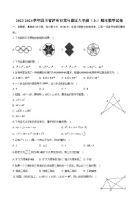 2023-2024学年四川省泸州市龙马潭区八年级（上）期末数学试卷（含解析）