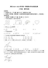 河南省安阳市滑县2023-2024学年八年级上学期期末数学试题