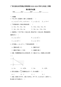 广西壮族自治区崇左市扶绥县2023-2024学年九年级上学期期末数学试题(含答案)