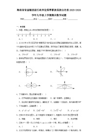 海南省省直辖县级行政单位保亭黎族苗族自治县2023-2024学年九年级上学期期末数学试题(含答案)