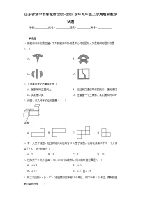 山东省济宁市邹城市2023-2024学年九年级上学期期末数学试题(含答案)