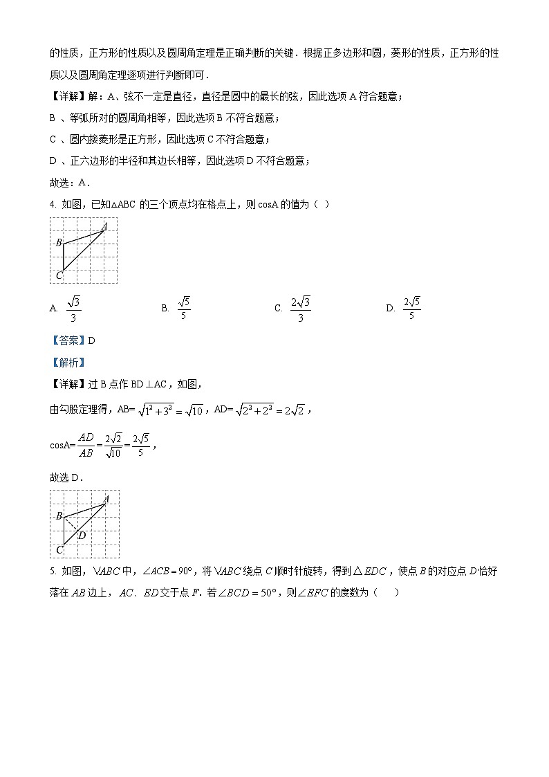 46，河南省漯河市郾城区2023-2024学年九年级上学期期末数学试题第2页