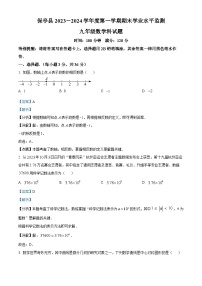 88，海南省省直辖县级行政单位保亭黎族苗族自治县2023-2024学年九年级上学期期末数学试题