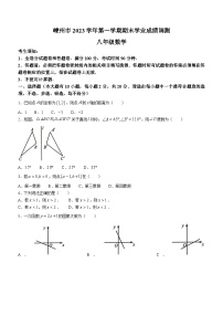 93，浙江省绍兴市嵊州市2023-2024学年八年级上学期期末数学试题