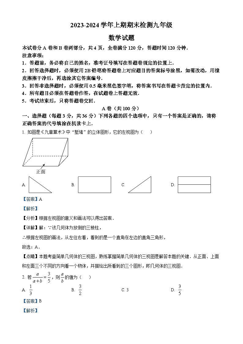 94，四川省雅安市2023-2024学年九年级上学期期末数学试题第1页
