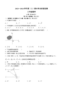 四川省成都市锦江区成都市七中育才学校2023-2024学年八年级上学期期末数学试题