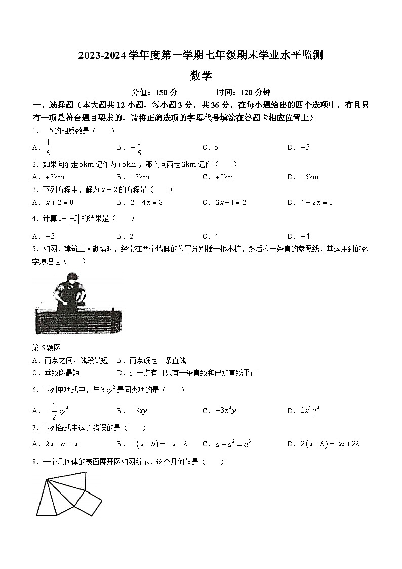 江苏省宿迁市泗阳县2023-2024学年七年级上学期期末数学试题(无答案)01