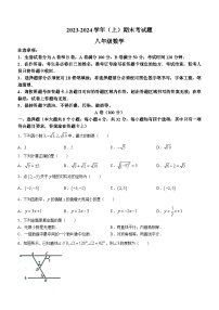 四川省成都市金牛区2023-2024学年八年级上学期期末数学试题