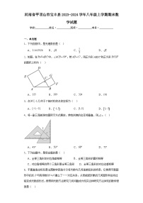 河南省平顶山市宝丰县2023-2024学年八年级上学期期末数学试题