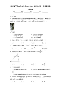 河南省平顶山市鲁山县2023-2024学年九年级上学期期末数学试题