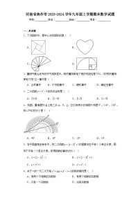 河南省焦作市2023-2024学年九年级上学期期末数学试题