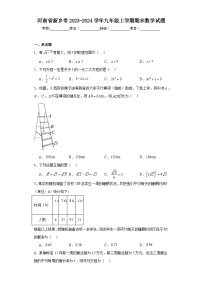 河南省新乡市2023-2024学年九年级上学期期末数学试题