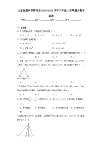 山东省滨州市博兴县2023-2024学年八年级上学期期末数学试题(含答案)