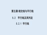 5.2.1 平行线  课件 2023-2024学年初中数学人教版七年级下册